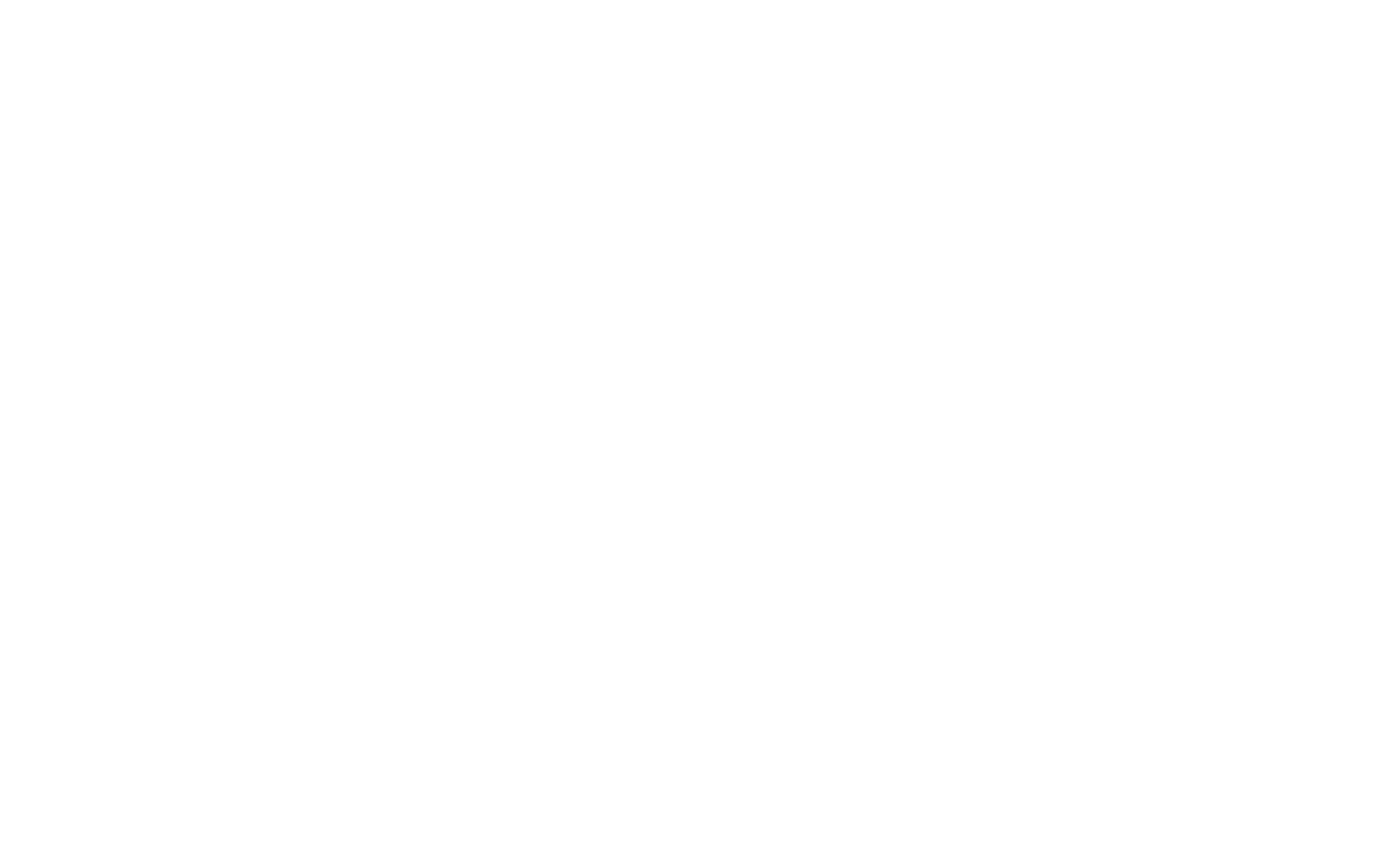 logo-invers-ferienwohnung-pusteblume